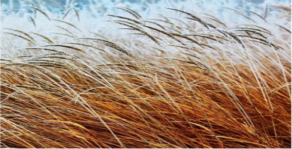 免疫药物不良反应如何处理好,滥用药物怎么恢复