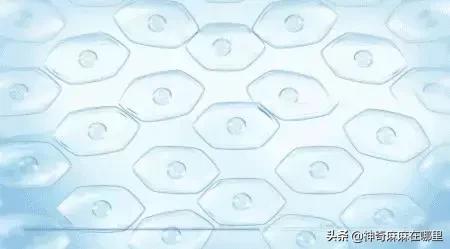 你还在用传统花洒洗澡吗,用喷头花洒洗脸会有伤害吗