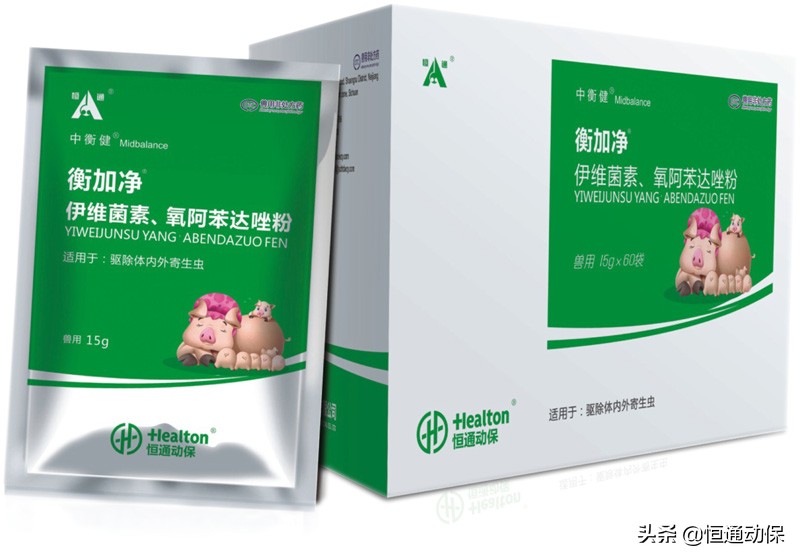 母猪产后坐月子,母猪坐月子