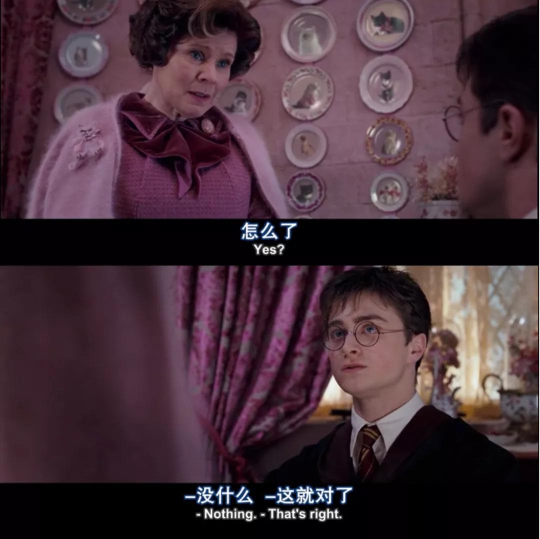 哈利波特的一生,哈利波特人物一生回忆录