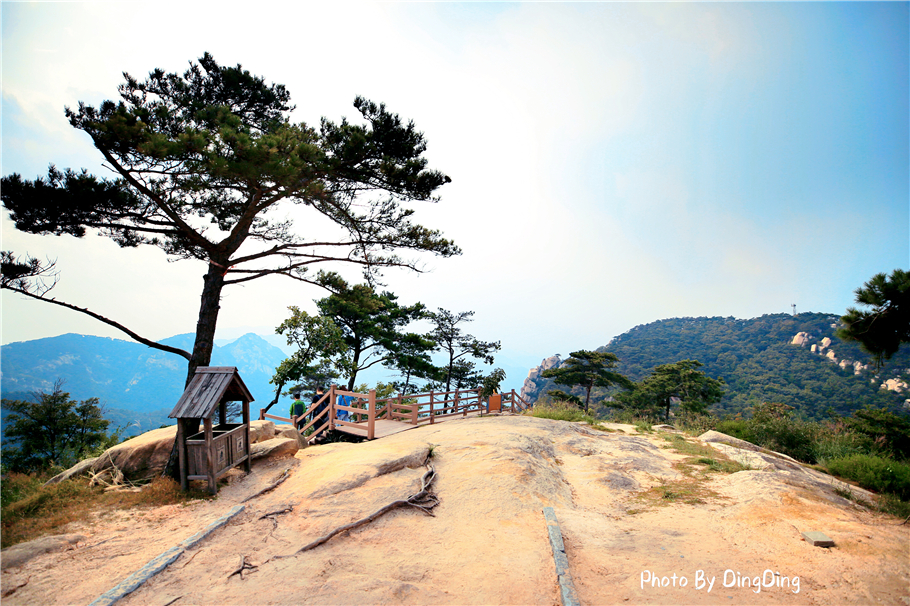 泰山为五岳之首完整版,泰山沂蒙山