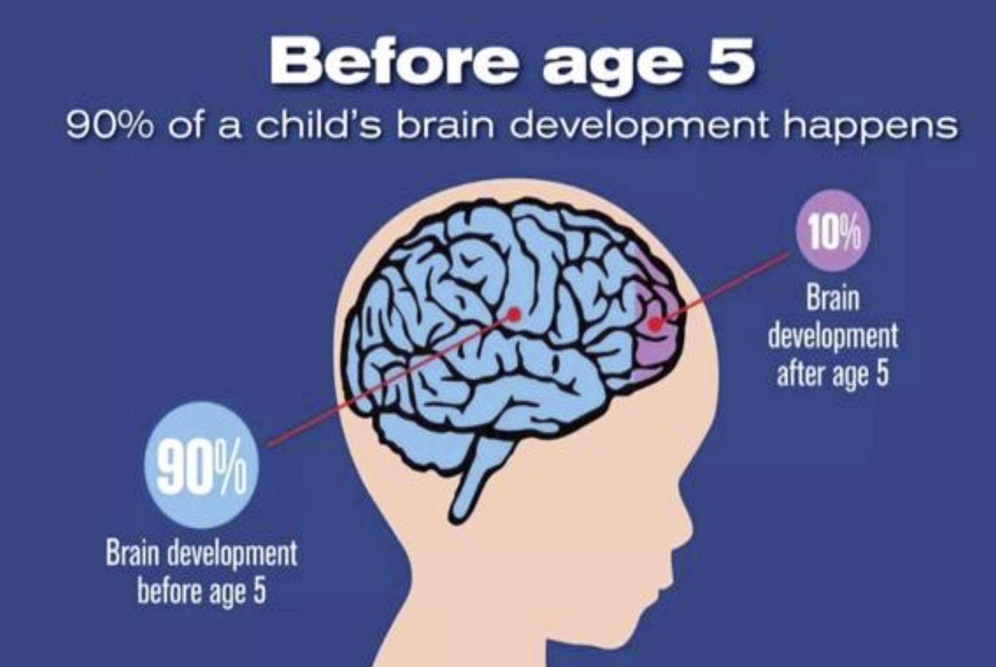 青春期孩子大脑什么时候开发,小孩大脑开发最佳的三个时间