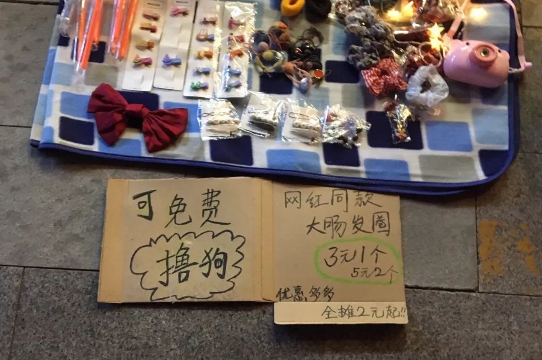 生活不易被迫营业的猫咪,猫咪独自在家铲屎官必做五件事