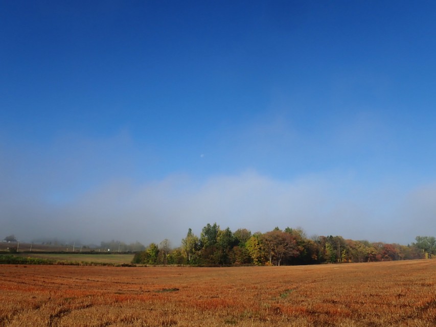 日本从南到北旅游路线,从南游到北
