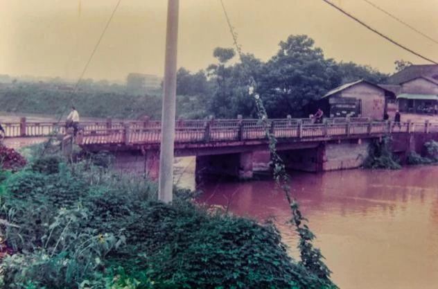 从臭水沟到打卡的经历,圭塘河臭水沟风光