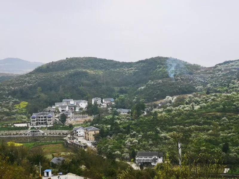 2022年世界手机摄影大赛征稿,手拍世界摄影网