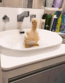 搞笑gif你们这些城里人太会玩了,搞笑gif逗比的世界你永远理解不了