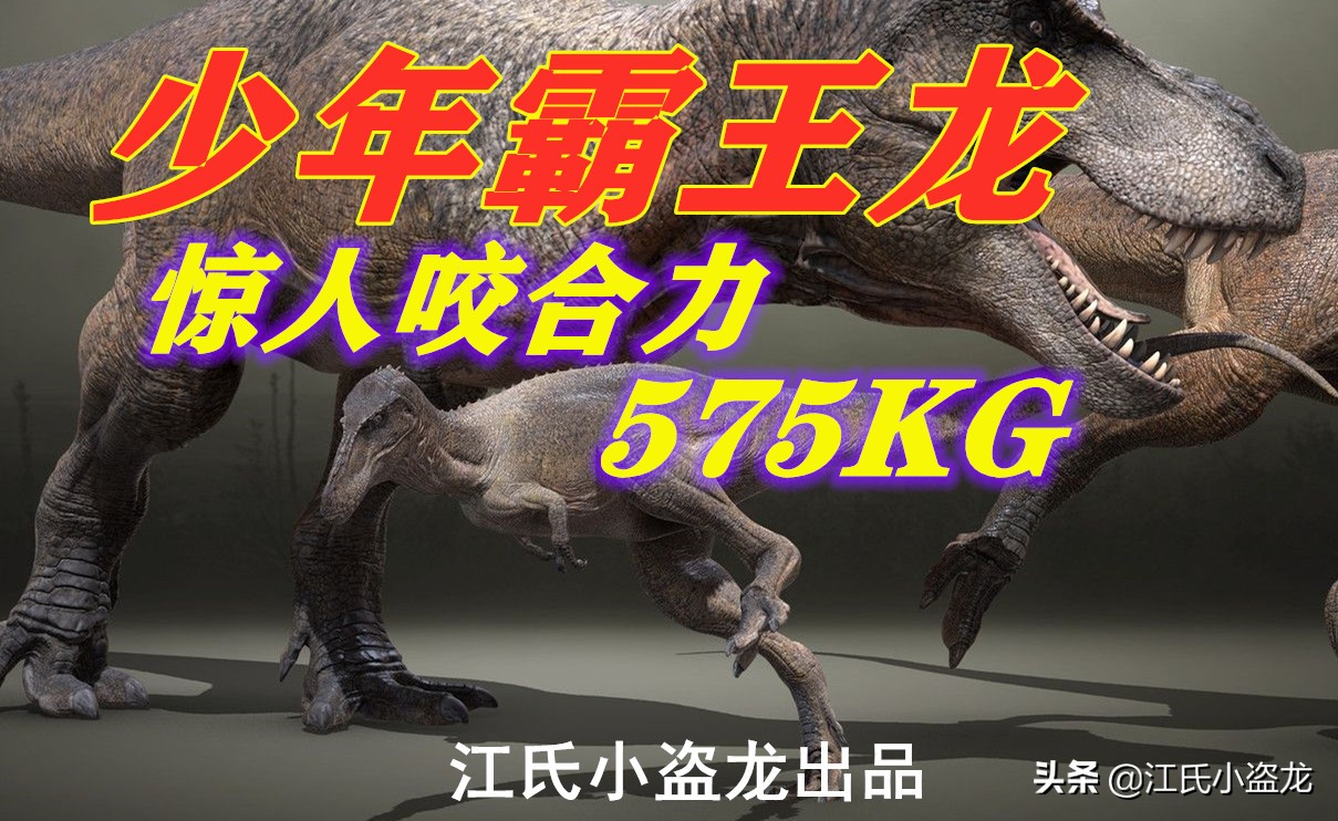 纯银版的霸王龙咬合力到底有多强,霸王龙奔跑的最大咬合力约是多少