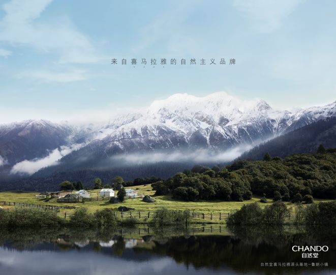 国货之光自然堂,中国品牌日护肤品