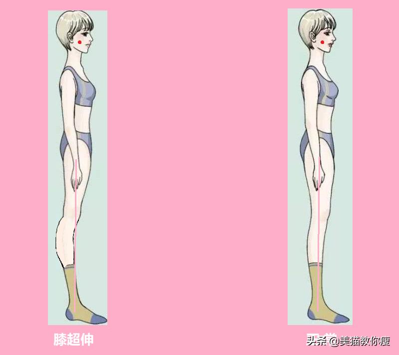 小学生肌肉腿怎么瘦成筷子腿,三天肌肉腿瘦成筷子腿