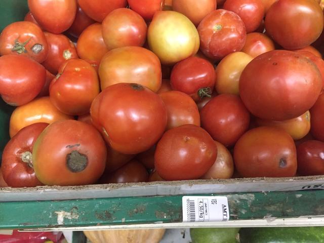 去迪拜旅游看什么东西,去迪拜旅游看到哈利法塔