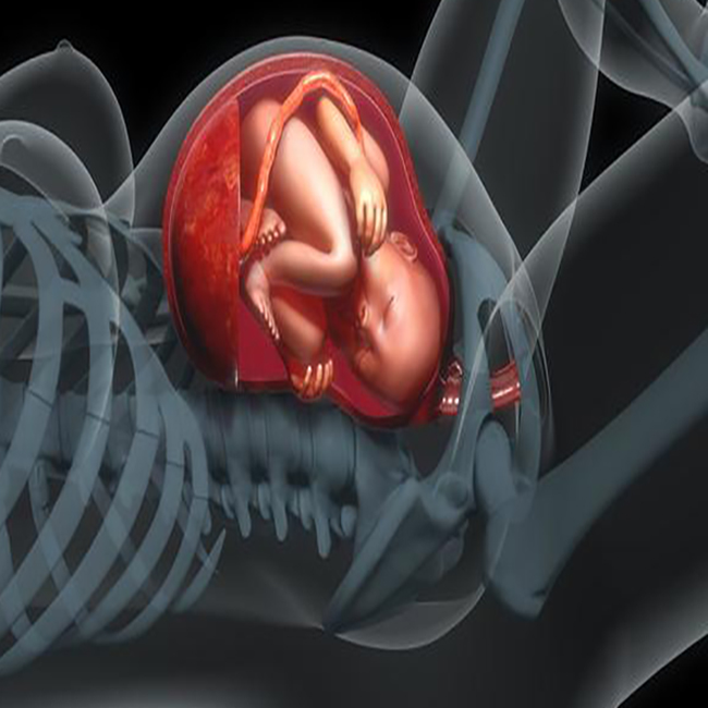 孕产说:37周了,宝宝偏小2周多,会不会推后出生?