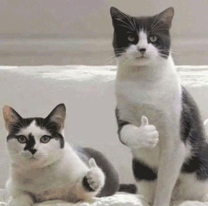 哪些防晒平价又好用又便宜,哪些防晒值得买的好用又便宜