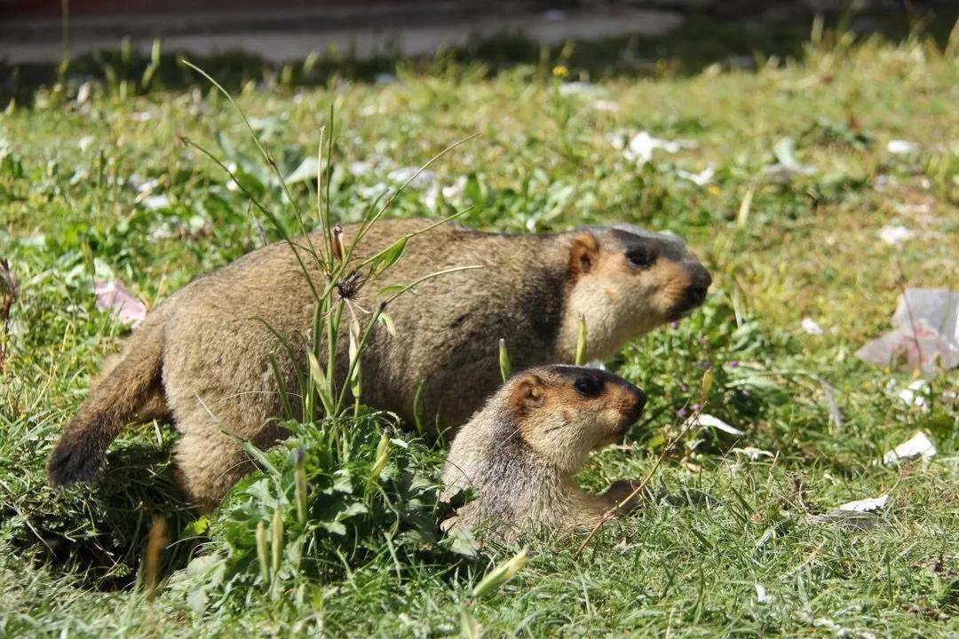 世界一生必去的51个最美的地方,全世界一生必去的100个地方