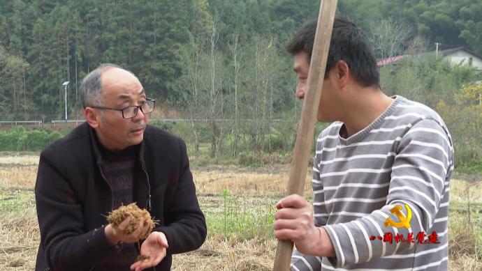 “最美志愿者”高允旺：振兴乡村让科技服务“三农”