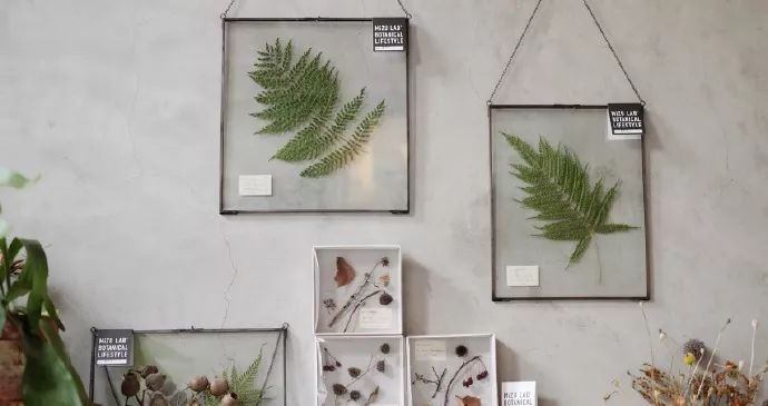 北京最美花店,她放弃了总监职位后续