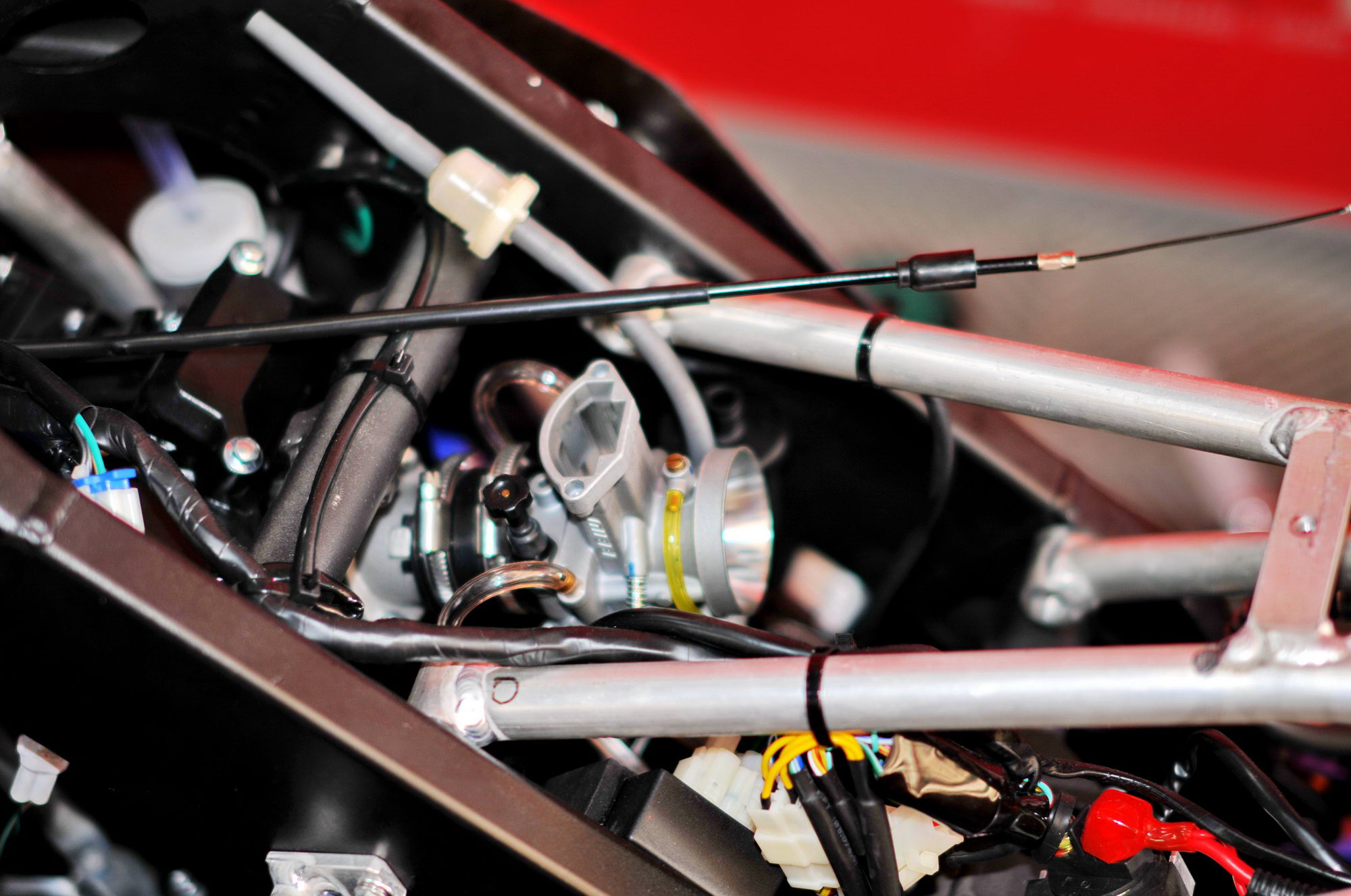 2023三水森林赛车会伟业达杯,2022三水森林赛车会