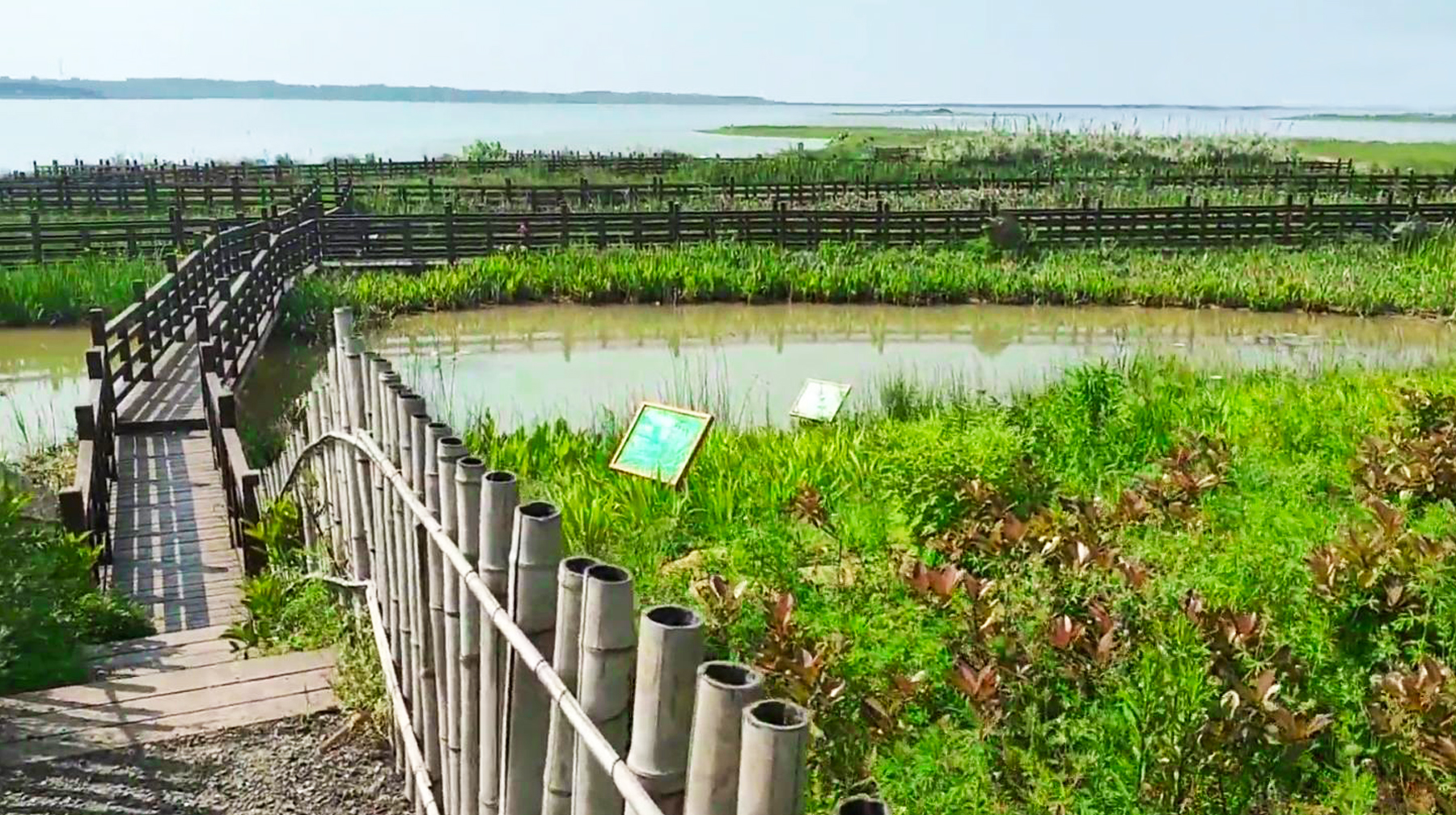 武汉绝美湿地公园,武汉东湖湿地公园景点