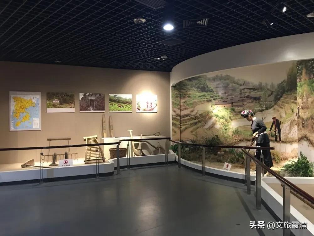 霞浦博物馆镇馆之宝,霞浦博物馆附近