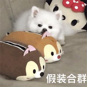 论00后的辞职信,00后扎心辞职信