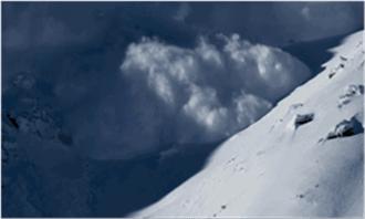 BBC最棒8部纪录片，强烈推荐孩子暑假看