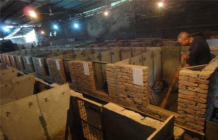 低成本养殖暴利,养殖梅花鹿30头多少成本多少利润