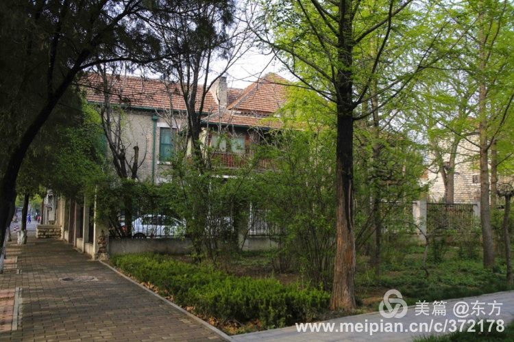 百年山东看青岛千年齐鲁逛青州,山东大学趵突泉景区