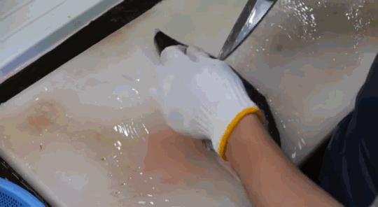 珍味｜吃完这盘料理，才算出生入死过的情侣