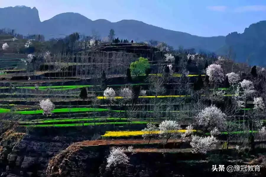 郑新黄河大桥2021年收费政策 (郑新黄河大桥2020年收费政策)