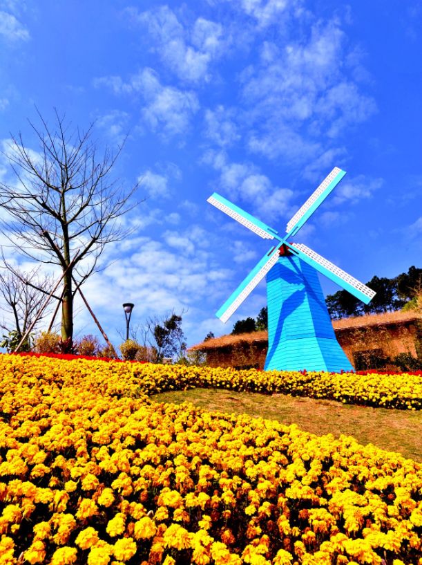 河源客天下团购房价格,河源客天下团购套餐