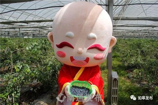 乡村振兴看如皋|“如宝”带货！如皋一批特色农产品成“网红”～