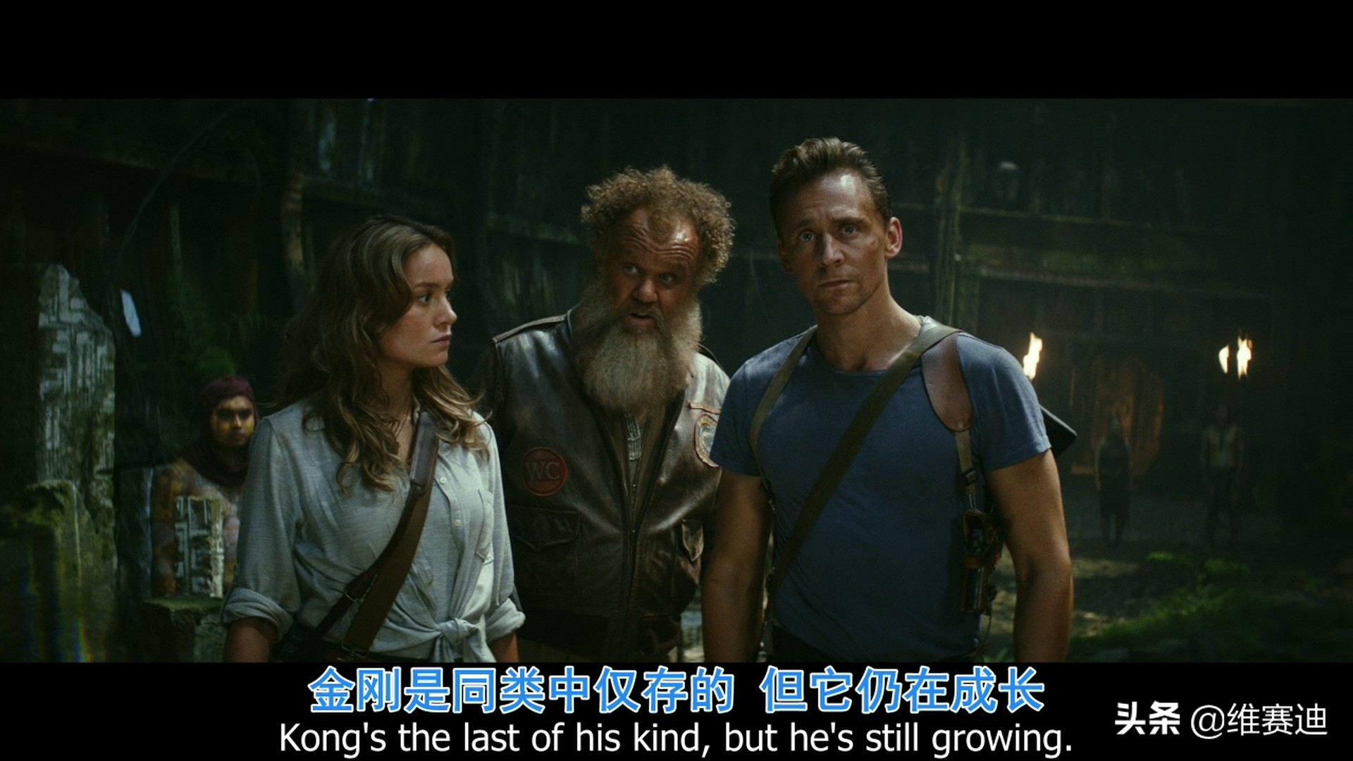 金刚怪兽宇宙,怪兽宇宙漫画里金刚有什么能力