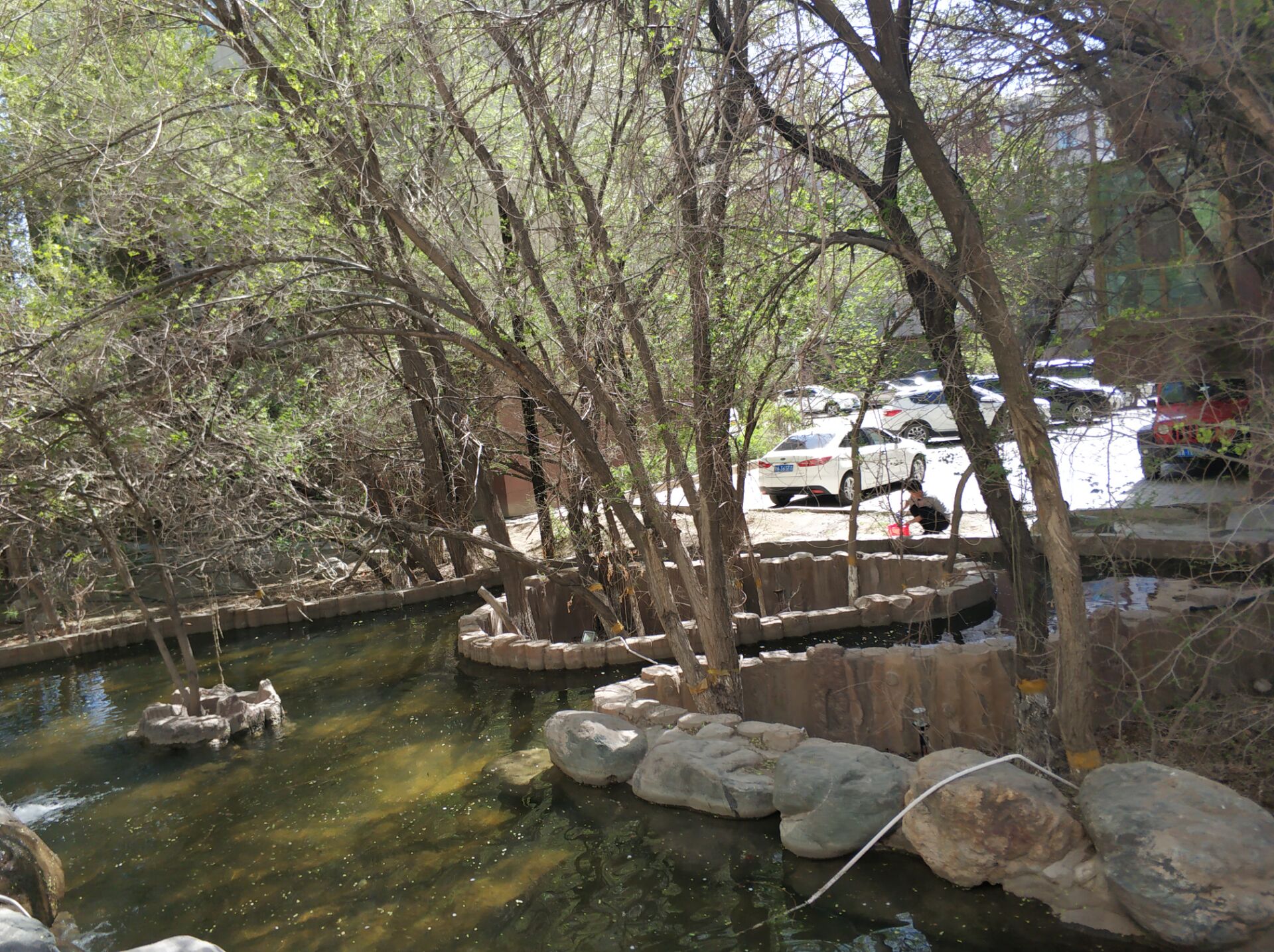 乌鲁木齐居然有这么漂亮的地方,乌鲁木齐周边森林公园在哪里