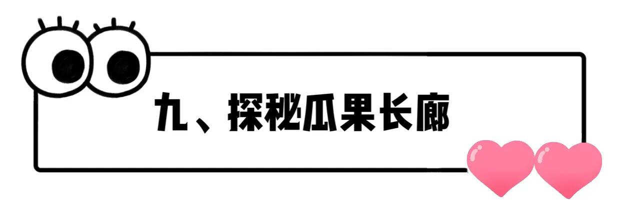 长隆飞鸟乐园拍鸟攻略,广州长隆飞鸟乐园可以摸哪些鸟