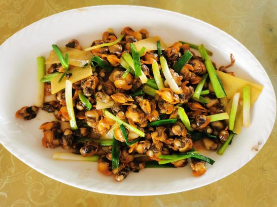 廉江龙营钓鱼视频,湛江市遂溪草潭码头钓鱼视频