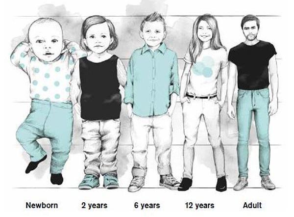 安全座椅购买攻略,安全座椅安全指南