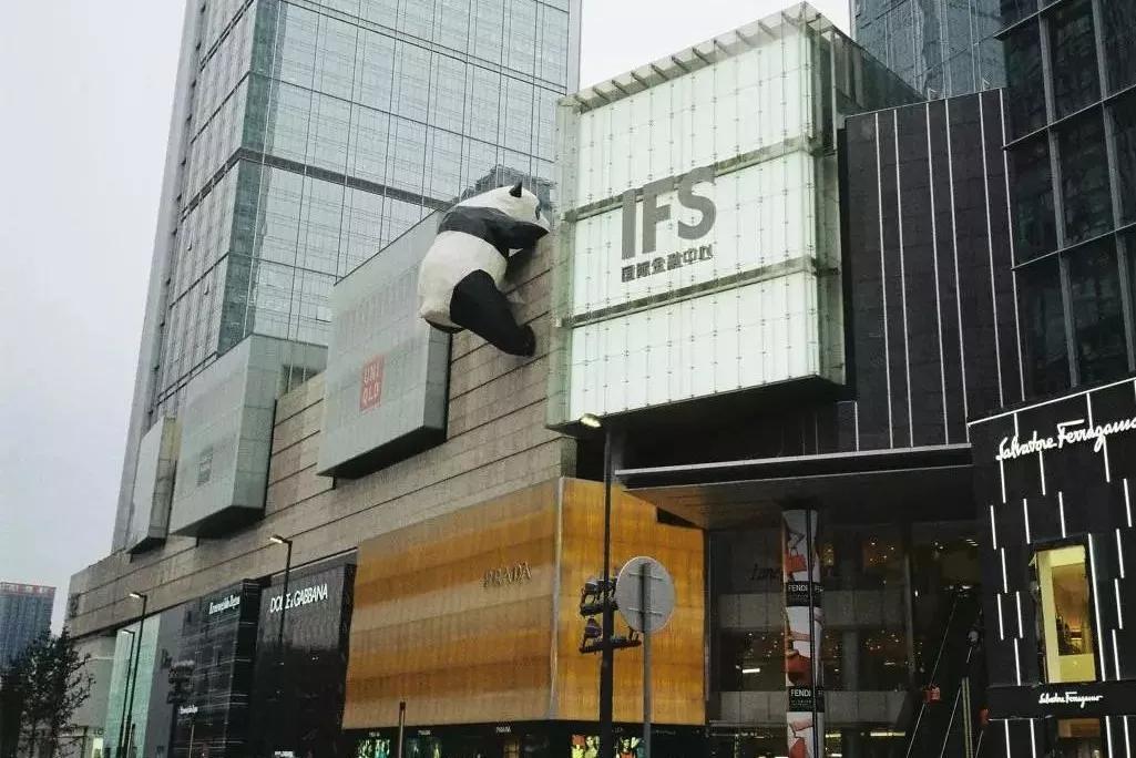 年轻人都去了成都,为什么年轻人都喜欢成都