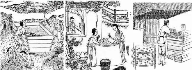 桃酥之乡在哪里,桃酥江西地区