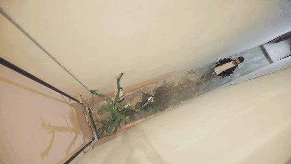 北京宅男独居5层楼,北京宅男住800平房子