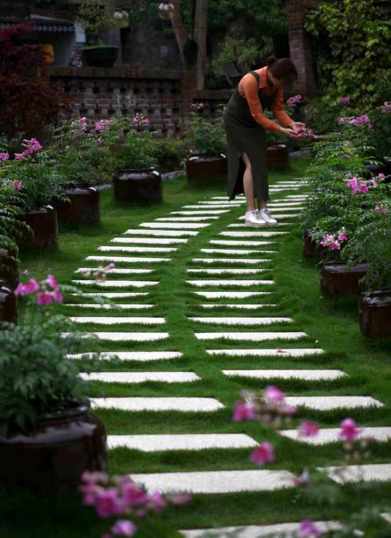 粤港澳大湾区自媒体访韶关：稻花香里说乐昌丰年