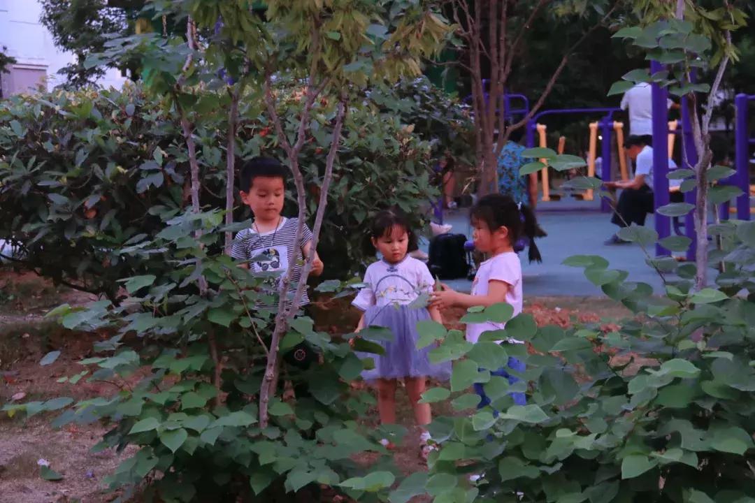 合肥蜀南庭苑新闻,合肥蜀南庭苑是拆迁小区吗