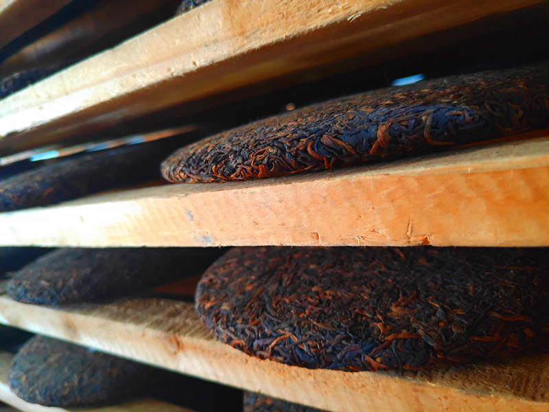 普洱茶生茶和熟茶哪个贵,普洱茶生茶与熟茶的区别与作用