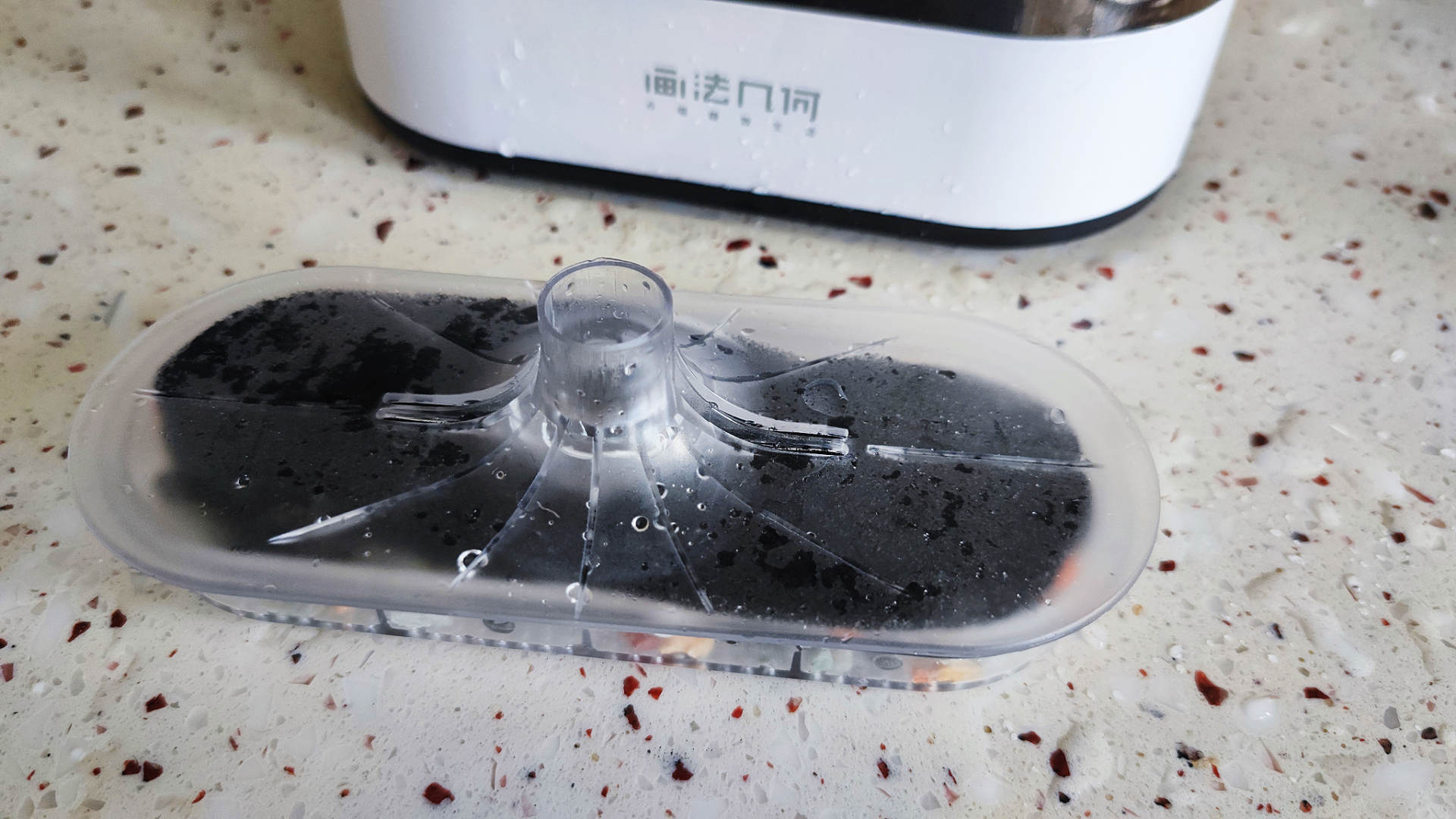 透明小型鱼缸可以养鱼吗,小型鱼缸养鱼知识