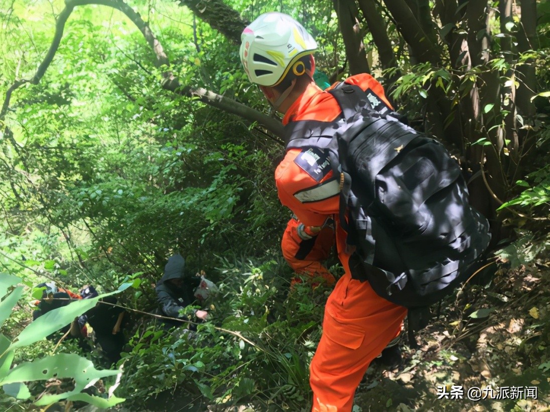 第二只金钱豹被搜救犬咬死,金钱豹被几只狗拿下