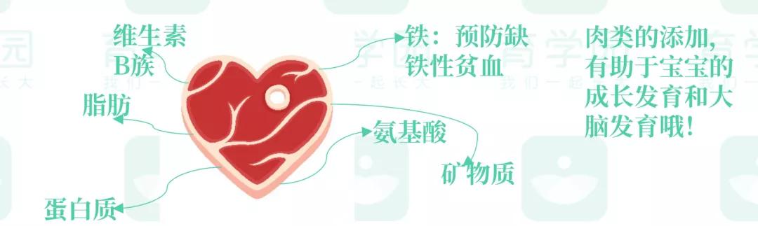 婴儿开始吃肉应该选择吃什么肉,首次给宝宝吃肉吃什么肉