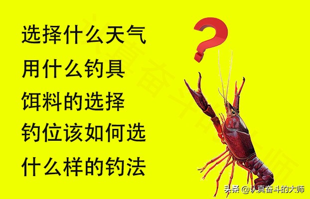 钓小龙虾的方法和技巧,小龙虾的钓法及用法