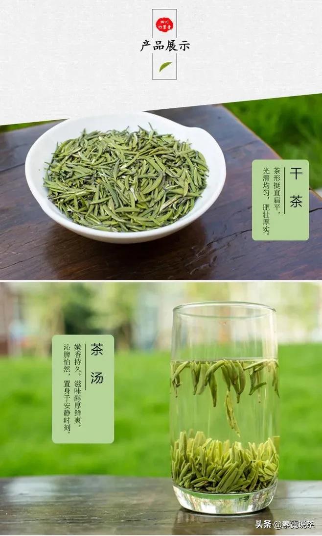 绿茶有什么功效讲解,绿茶功效与作用绿茶有哪些种类