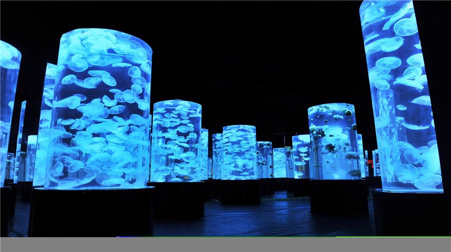 辽宁古城旅游景点大全攻略图,辽宁十大经典旅游景点你去过几个