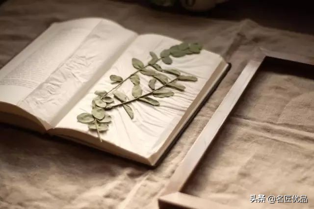 手工课堂：手把手教你做干花标本，比花钱买来的画好看十倍
