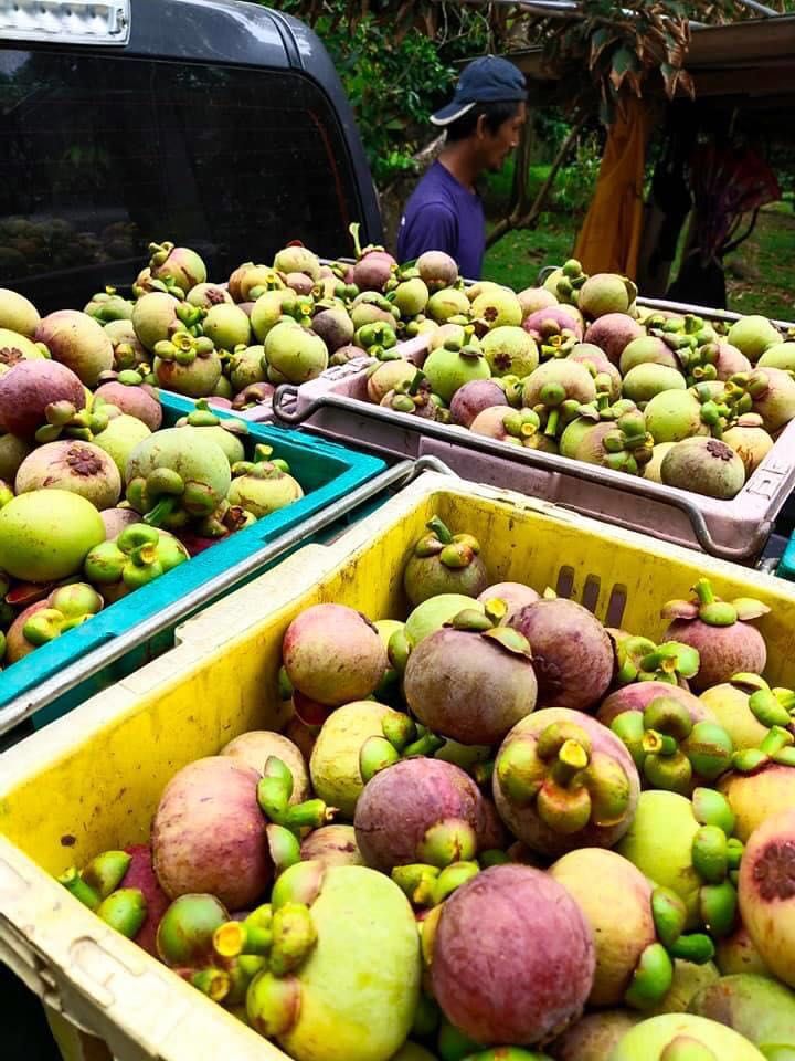 水果店相对微商有什么优势,为什么水果店那么难做起来